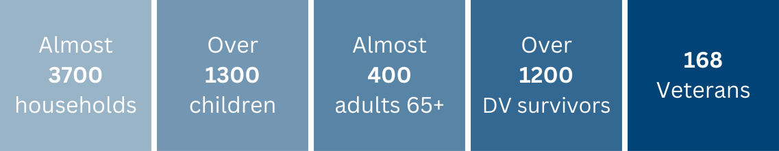 Client Demographic Website Graphic 2